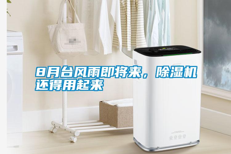 8月臺風雨即將來，除濕機還得用起來