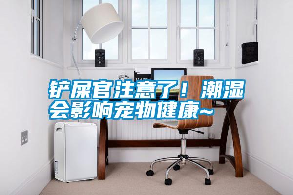 鏟屎官注意了！潮濕會影響寵物健康~