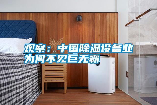 觀察:中國除濕設(shè)備業(yè)為何不見巨無霸