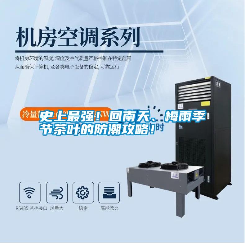 史上最強！回南天、梅雨季節茶葉的防潮攻略！