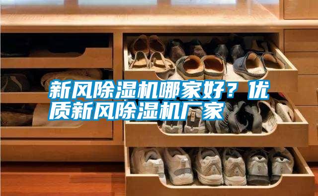 新風除濕機哪家好？優(yōu)質(zhì)新風除濕機廠家