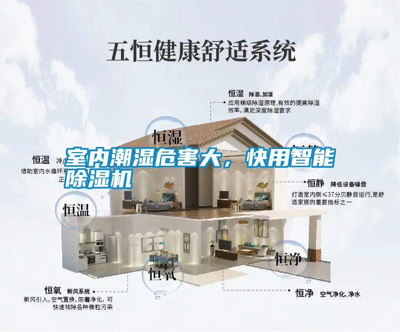 室內潮濕危害大，快用智能除濕機