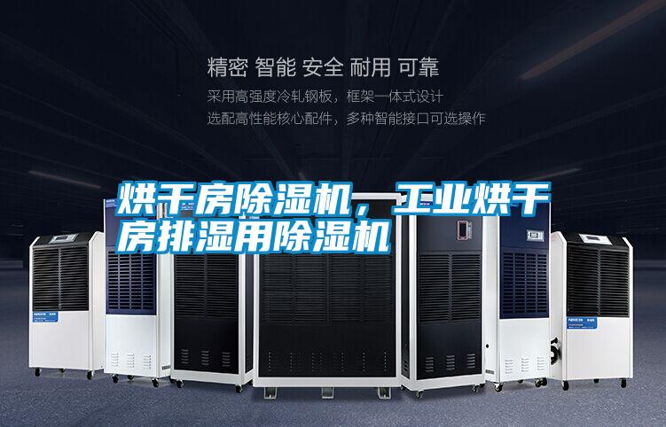 烘干房除濕機，工業(yè)烘干房排濕用除濕機