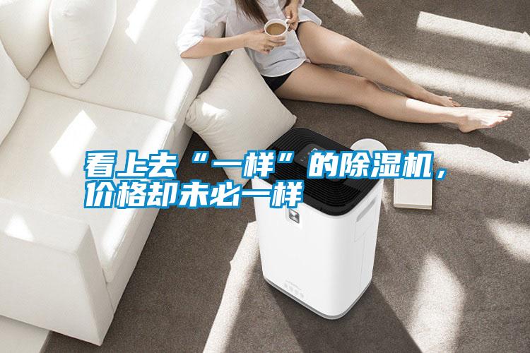 看上去“一樣”的除濕機，價格卻未必一樣