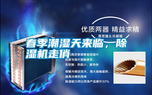 春季潮濕天來臨，除濕機走俏