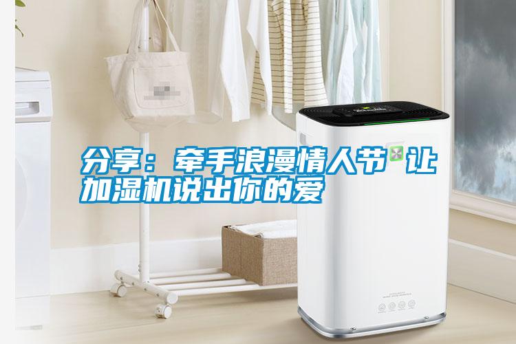 分享:牽手浪漫情人節 讓加濕機說出你的愛