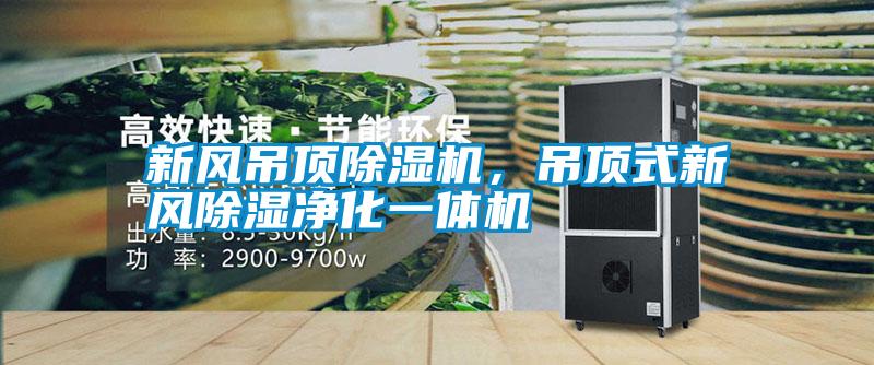 新風吊頂除濕機,吊頂式新風除濕凈化一體機
