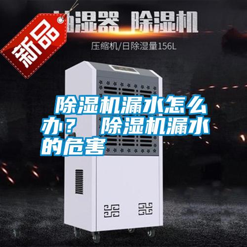  除濕機(jī)漏水怎么辦？ 除濕機(jī)漏水的危害