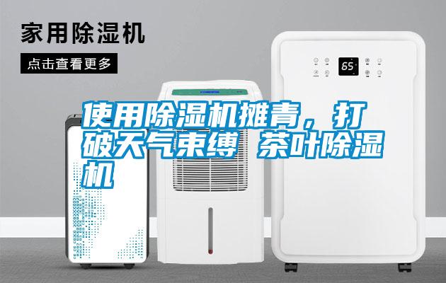 使用除濕機攤青，打破天氣束縛 茶葉除濕機