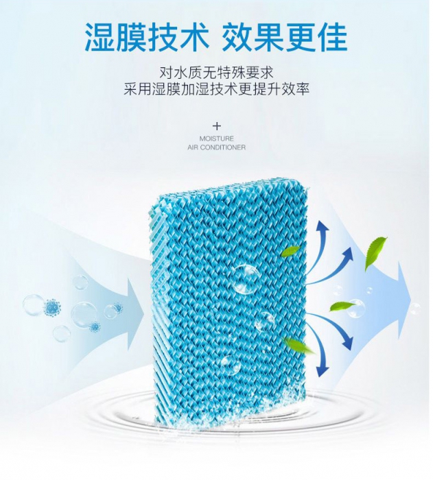 潮濕季，食材／貴重物品該防潮防霉防蟲，你不知道的秘密！