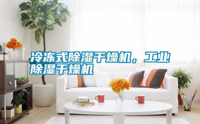冷凍式除濕干燥機，工業除濕干燥機