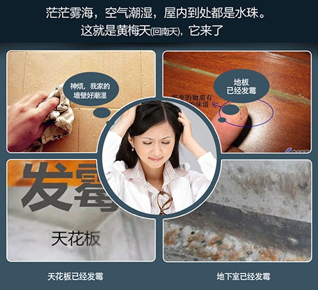 地下室中央新風(fēng)除濕機(jī),地下室通風(fēng)與除濕解決方案