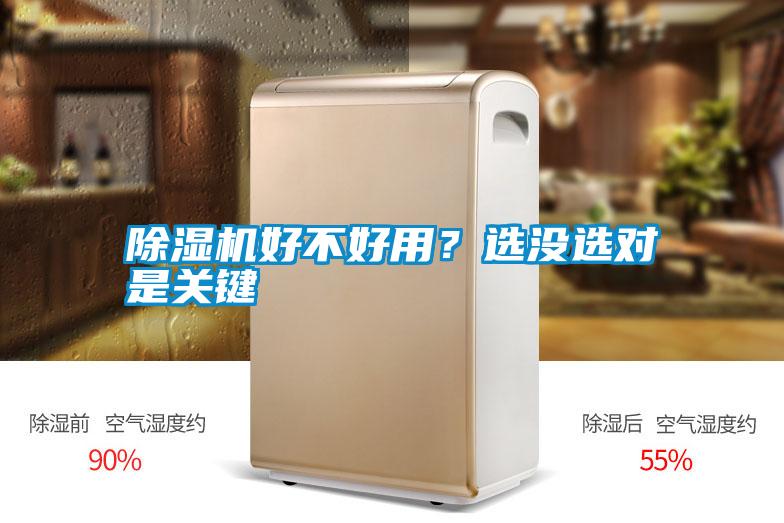除濕機好不好用？選沒選對是關鍵