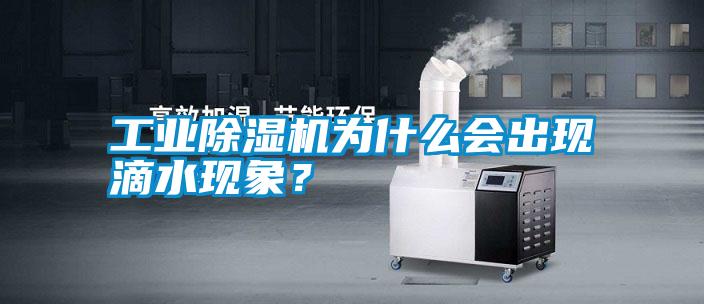 工業除濕機為什么會出現滴水現象？