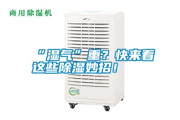 “濕氣”重？快來看這些除濕妙招！