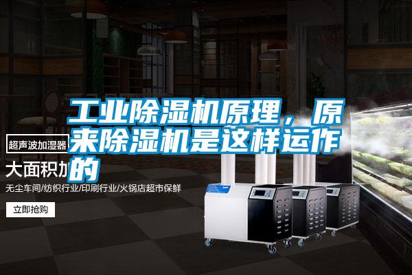 工業(yè)除濕機原理,原來除濕機是這樣運作的