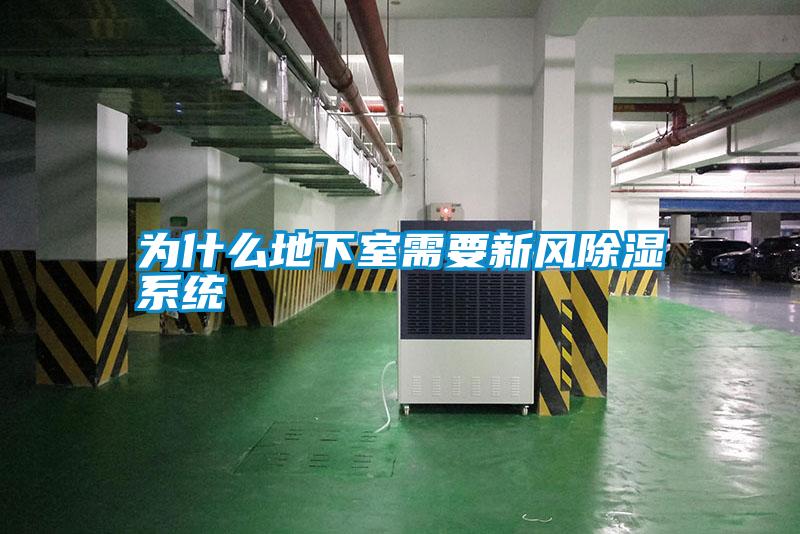為什么地下室需要新風(fēng)除濕系統(tǒng)