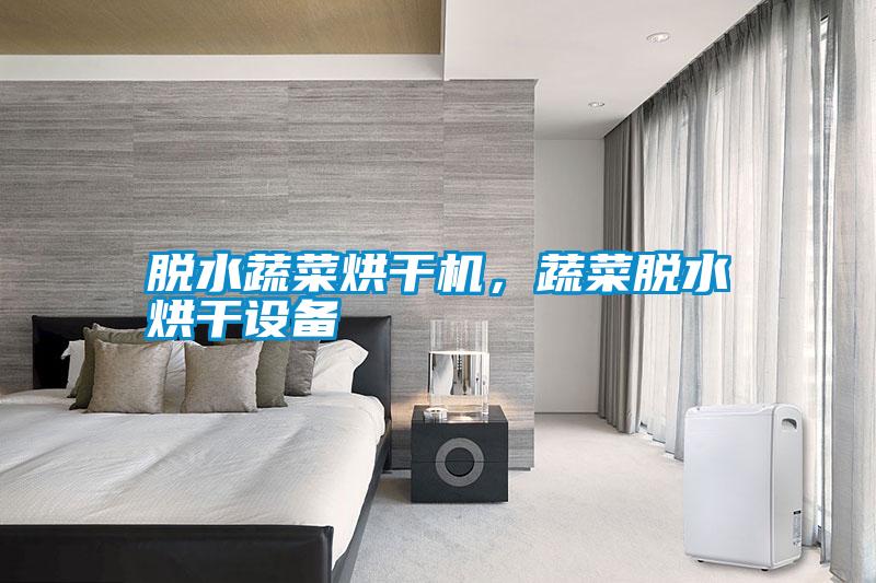 脫水蔬菜烘干機,蔬菜脫水烘干設備