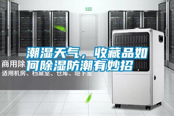 潮濕天氣，收藏品如何除濕防潮有妙招