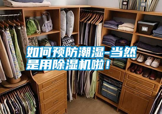 如何預防潮濕-當然是用除濕機啦！