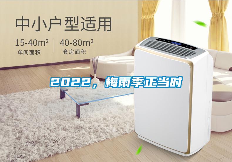 2022，梅雨季正當(dāng)時