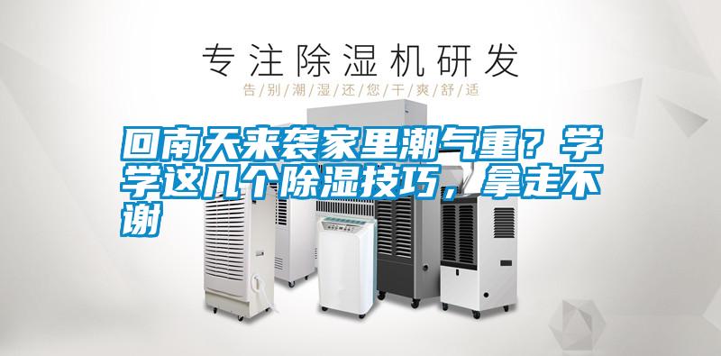 回南天來襲家里潮氣重？學(xué)學(xué)這幾個(gè)除濕技巧，拿走不謝