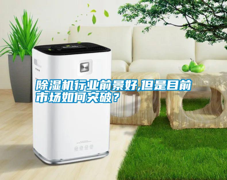 除濕機行業前景好,但是目前市場如何突破？