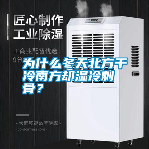 為什么冬天北方干冷南方卻濕冷刺骨？
