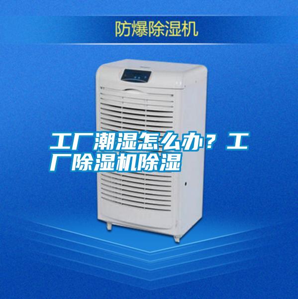 工廠潮濕怎么辦？工廠除濕機除濕