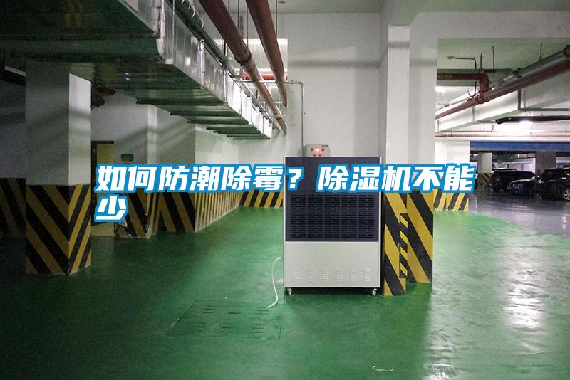 如何防潮除霉？除濕機不能少
