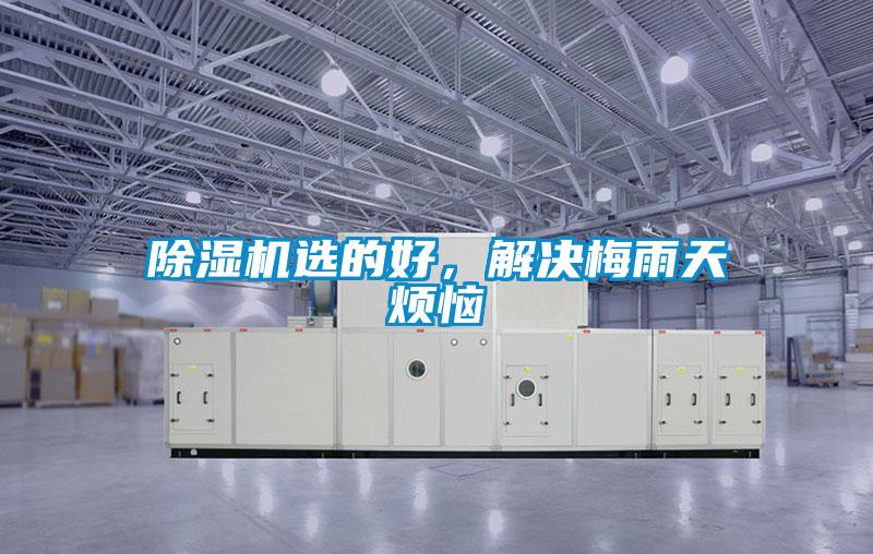 除濕機選的好,解決梅雨天煩惱