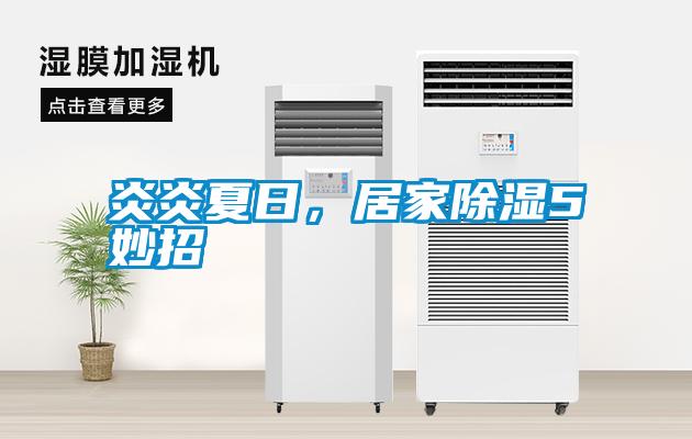 炎炎夏日，居家除濕5妙招