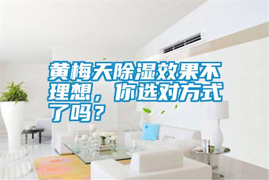 黃梅天除濕效果不理想，你選對方式了嗎？