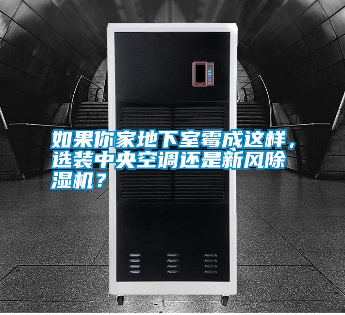 如果你家地下室霉成這樣，選裝中央空調還是新風除濕機？