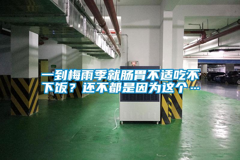 一到梅雨季就腸胃不適吃不下飯？還不都是因為這個…