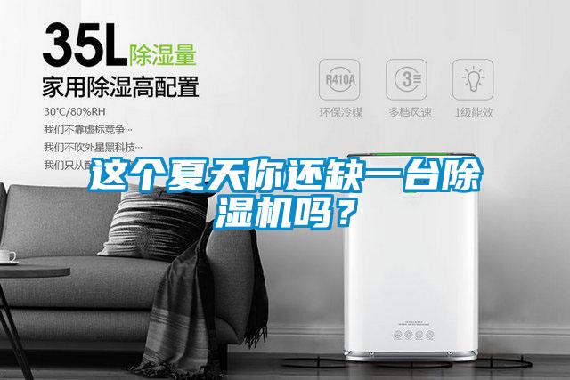 這個夏天你還缺一臺除濕機嗎?