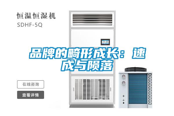 品牌的畸形成長(zhǎng):速成與隕落