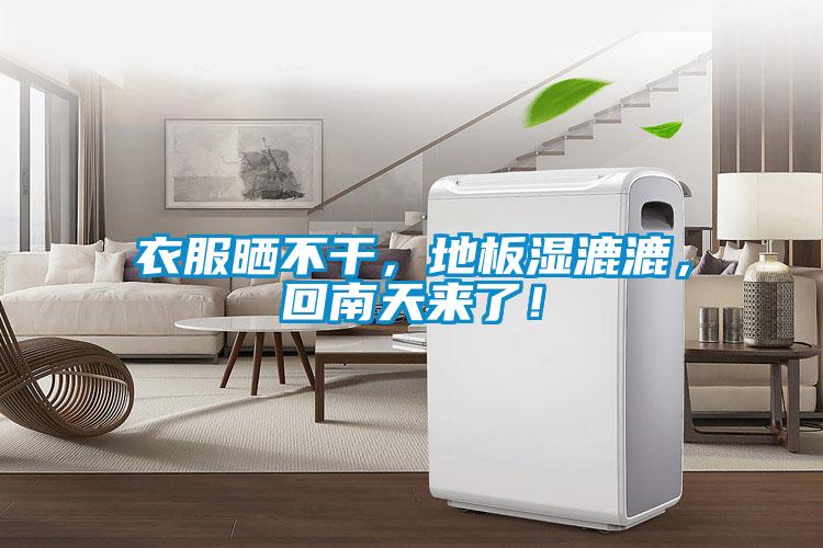 衣服曬不干，地板濕漉漉，回南天來了！