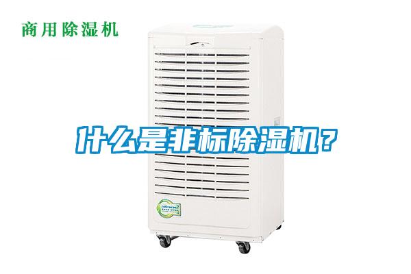 什么是非標除濕機？