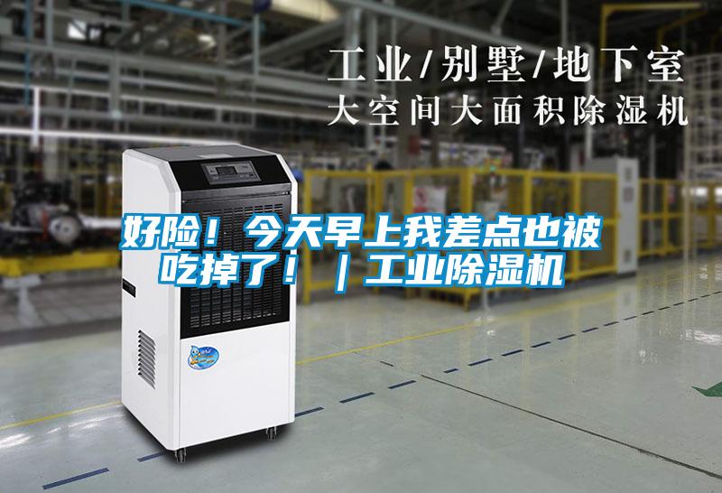 好險！今天早上我差點也被吃掉了！｜工業(yè)除濕機