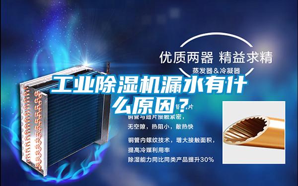 工業(yè)除濕機(jī)漏水有什么原因?