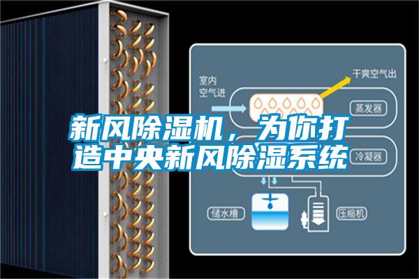 新風(fēng)除濕機(jī),為你打造中央新風(fēng)除濕系統(tǒng)