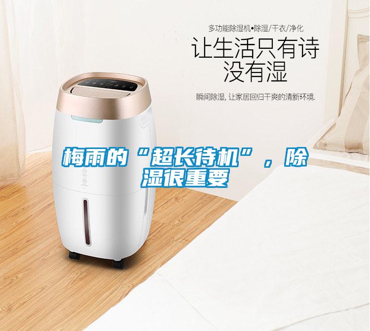 梅雨的“超長待機”，除濕很重要