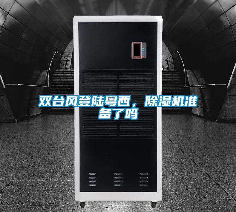 雙臺(tái)風(fēng)登陸粵西,除濕機(jī)準(zhǔn)備了嗎