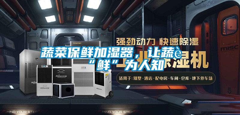 蔬菜保鮮加濕器,讓蔬菜“鮮”為人知