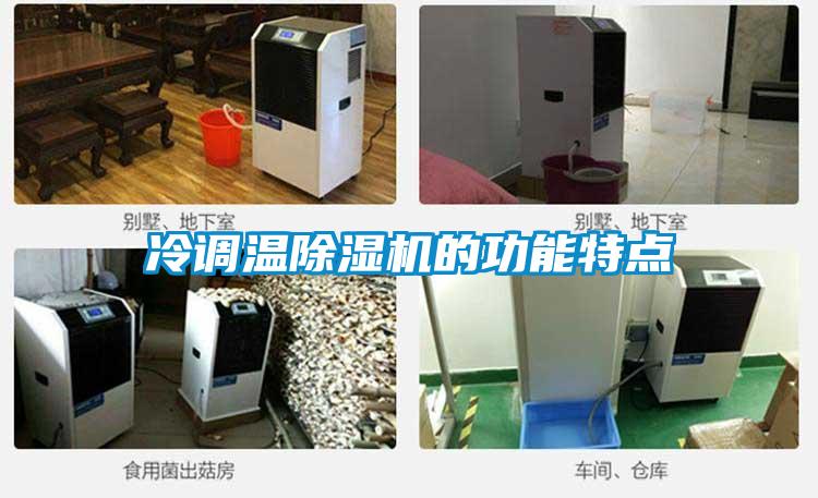 冷調(diào)溫除濕機(jī)的功能特點