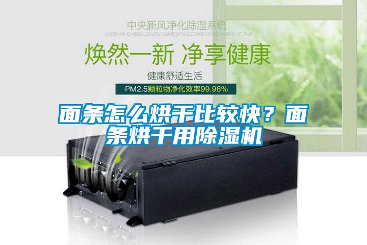 面條怎么烘干比較快？面條烘干用除濕機