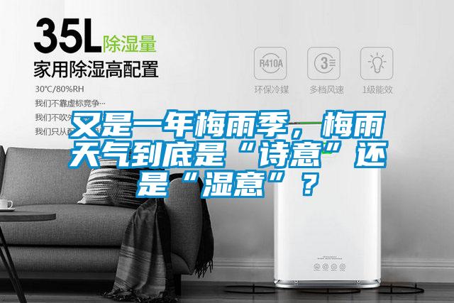 又是一年梅雨季，梅雨天氣到底是“詩(shī)意”還是“濕意”？