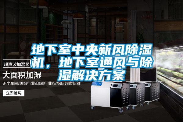 地下室中央新風(fēng)除濕機，地下室通風(fēng)與除濕解決方案