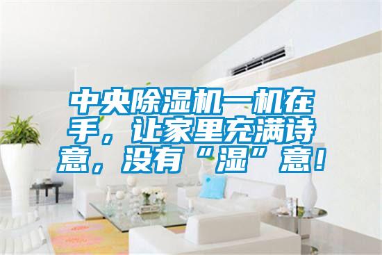 中央除濕機一機在手，讓家里充滿詩意，沒有“濕”意！